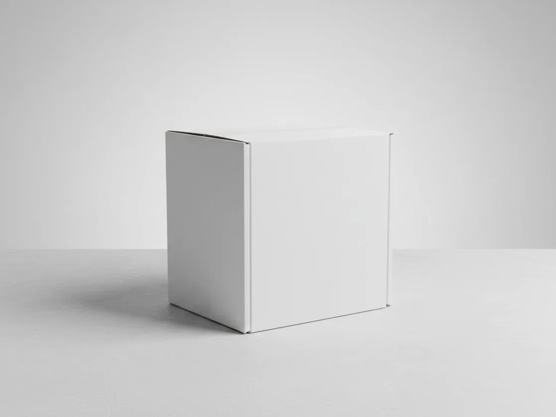 A plain white cardboard shipping box with every visible face completely blank and unprinted.
