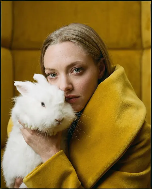 Velvet Panic: Yellow Chamber Portrait — image 2