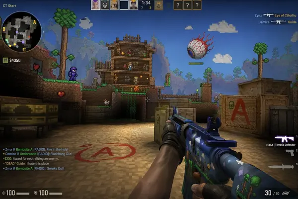 Counter-Strike meets Terraria mashup